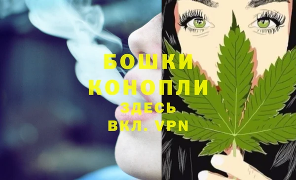 МДПВ Володарск