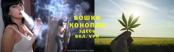 соль ск Волосово