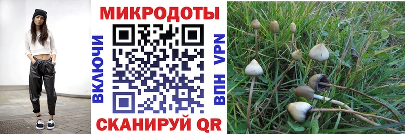 Купить  Сосновка  Псилоцибиновые грибы GOLDEN TEACHER 